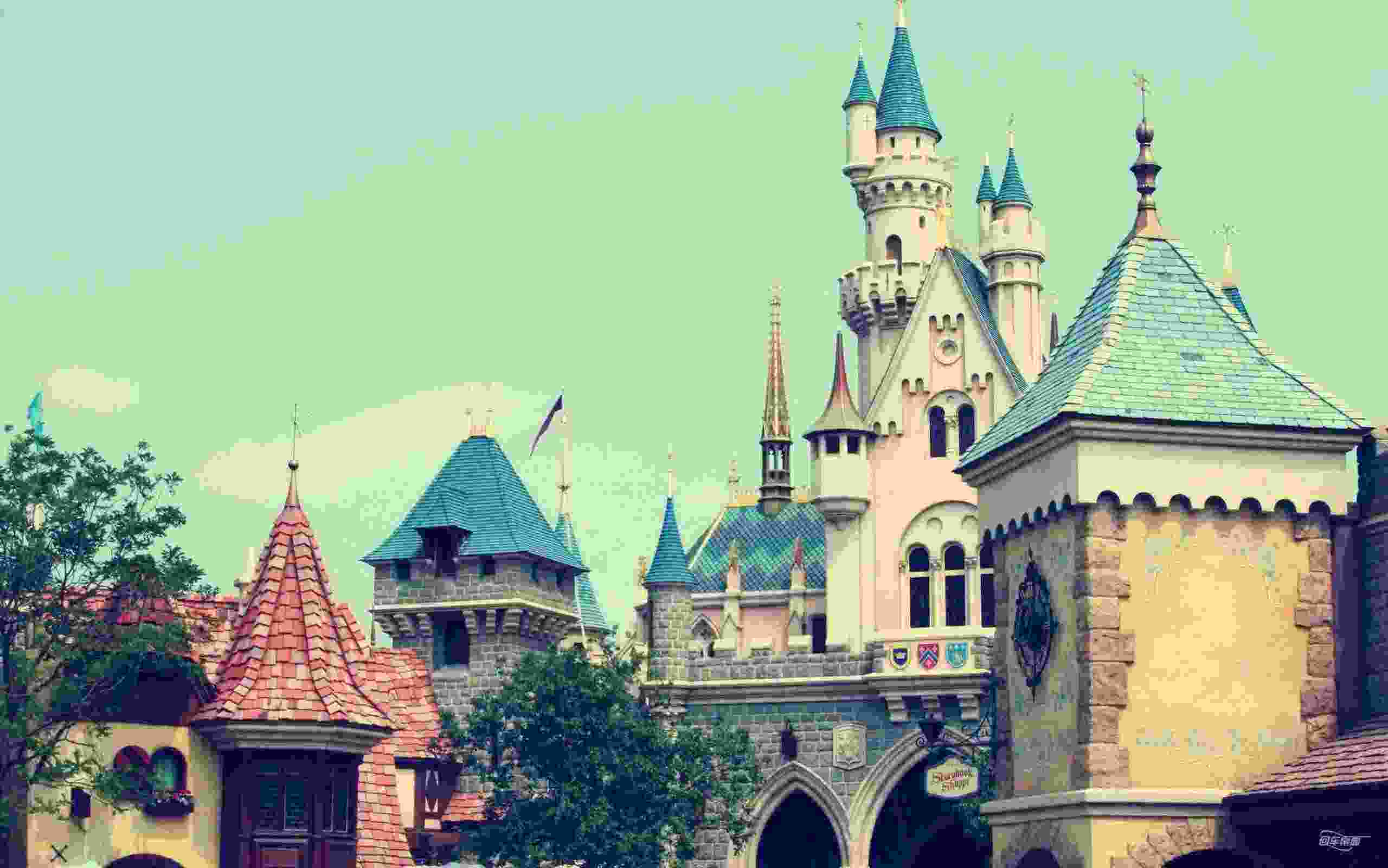 banner1